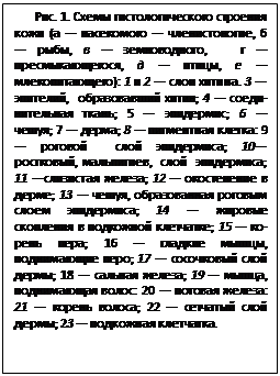 ϳ: . 1.     (    ,   ,   ,   -,   ,   -): 1  2   . 3  ,  ; 4   ; 5  ; 6  ; 7  -; 8   : 9    ; 10, -,  ; 11  ; 12    ; 13  ,    -; 14     - ; 15   ; 16   ,  ; 17    ; 18   -; 19  ,  : 20   : 21   ; 22    ; 23   .