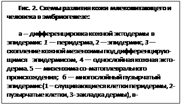 ϳ: . 2.        :
 
 --      1  , 2 , 3  -    - , 4    -. 5   - -;     - (1    , 2- , 3-  ), -    (1- , 2-)
